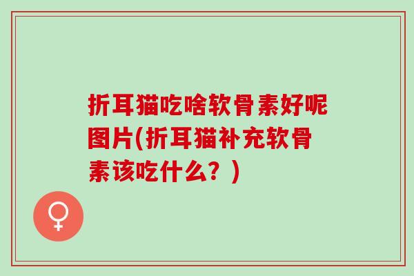 折耳猫吃啥软骨素好呢图片(折耳猫补充软骨素该吃什么？)