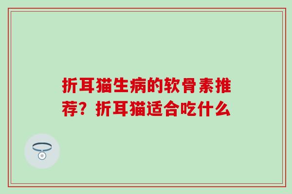 折耳猫生的软骨素推荐?折耳猫适合吃什么 折耳猫生的软骨素推荐?折耳猫适合吃什么