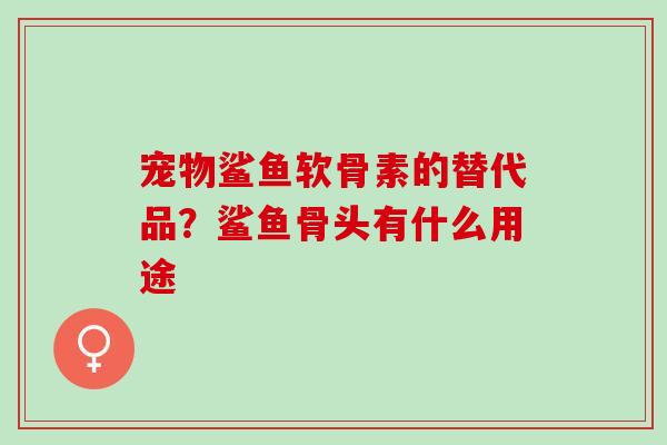 宠物鲨鱼软骨素的替代品？鲨鱼骨头有什么用途