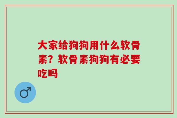 大家给狗狗用什么软骨素？软骨素狗狗有必要吃吗