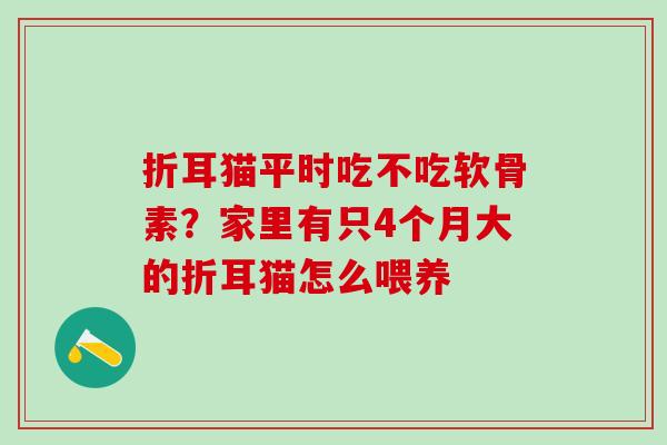 折耳猫平时吃不吃软骨素?家里有只4个月大的折耳猫怎么喂养 折耳猫平时吃不吃软骨素?家里有只4个月大的折耳猫怎么喂养