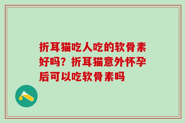 折耳猫吃人吃的软骨素好吗?折耳猫意外怀孕后可以吃软骨素吗 折耳猫吃人吃的软骨素好吗?折耳猫意外怀孕后可以吃软骨素吗
