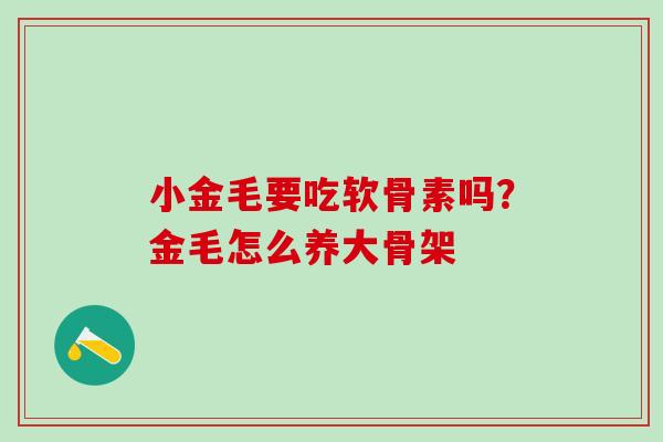 小金毛要吃软骨素吗？金毛怎么养大骨架