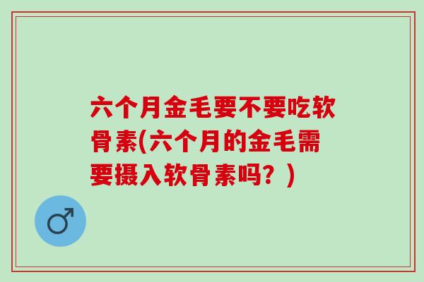 六个月金毛要不要吃软骨素(六个月的金毛需要摄入软骨素吗？)