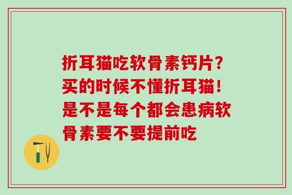 折耳猫吃软骨素钙片？买的时候不懂折耳猫！是不是每个都会患病软骨素要不要提前吃