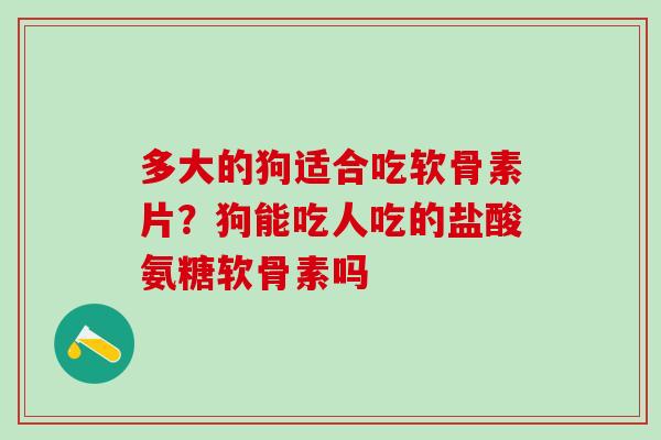 多大的狗适合吃软骨素片？狗能吃人吃的盐酸氨糖软骨素吗