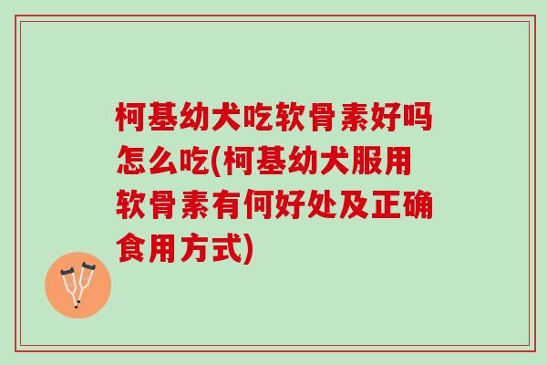 柯基幼犬吃软骨素好吗怎么吃(柯基幼犬服用软骨素有何好处及正确食用方式)