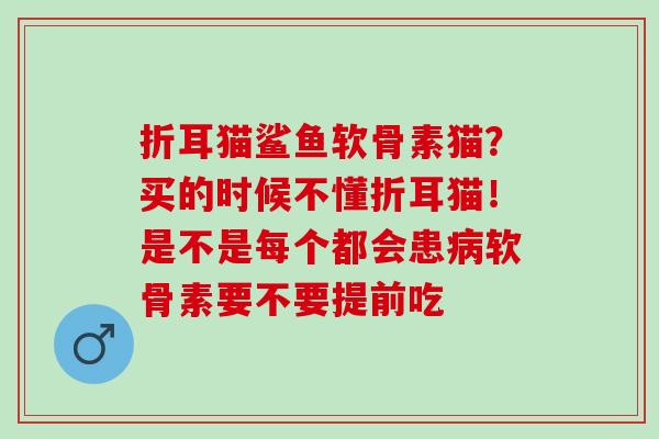 折耳猫鲨鱼软骨素猫?买的时候不懂折耳猫!是不是每个都会患软骨素要不要提前吃 折耳猫鲨鱼软骨素猫?买的时候不懂折耳猫!是不是每个都会患软骨素要不要提前吃