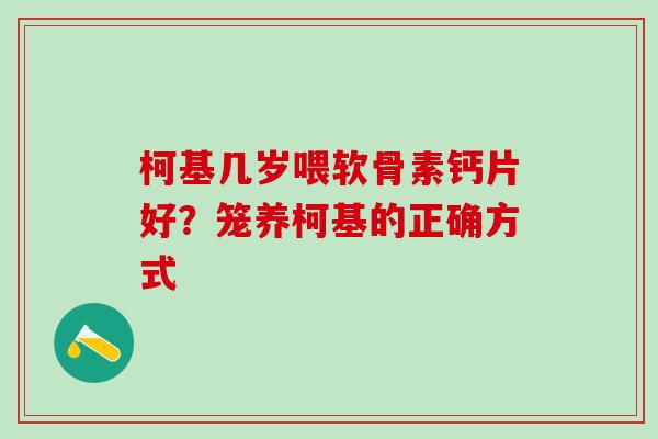 柯基几岁喂软骨素钙片好?笼养柯基的正确方式 柯基几岁喂软骨素钙片好?笼养柯基的正确方式