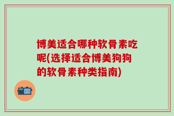 博美适合哪种软骨素吃呢(选择适合博美狗狗的软骨素种类指南)