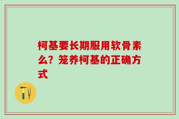 柯基要长期服用软骨素么？笼养柯基的正确方式