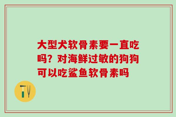 大型犬软骨素要一直吃吗？对海鲜过敏的狗狗可以吃鲨鱼软骨素吗