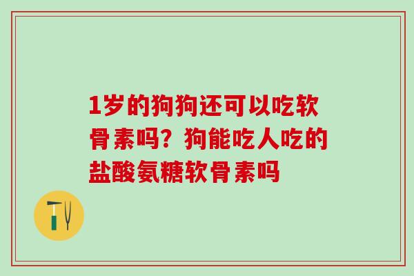 1岁的狗狗还可以吃软骨素吗?狗能吃人吃的盐酸氨糖软骨素吗 1岁的狗狗还可以吃软骨素吗?狗能吃人吃的盐酸氨糖软骨素吗