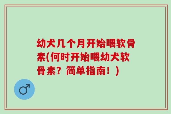 幼犬几个月开始喂软骨素(何时开始喂幼犬软骨素？简单指南！)