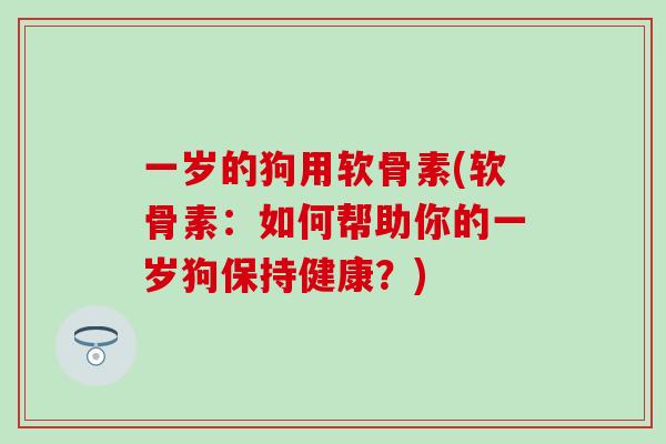 一岁的狗用软骨素(软骨素：如何帮助你的一岁狗保持健康？)
