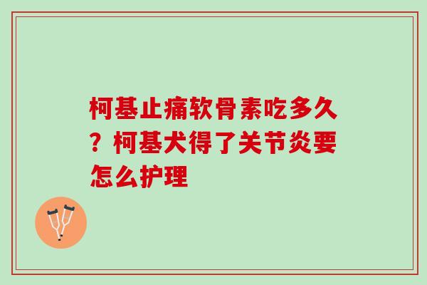柯基止痛软骨素吃多久？柯基犬得了关节炎要怎么护理