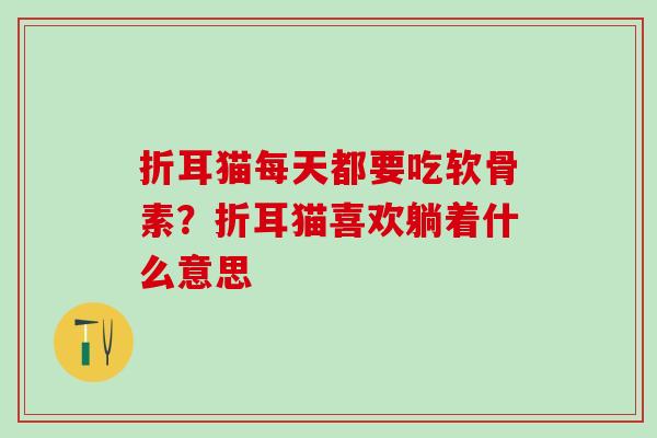 折耳猫每天都要吃软骨素？折耳猫喜欢躺着什么意思