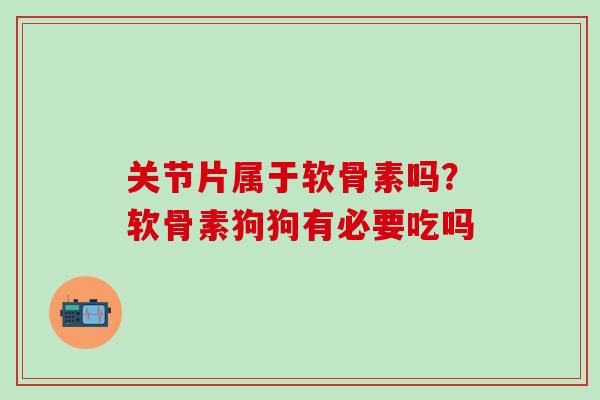 关节片属于软骨素吗？软骨素狗狗有必要吃吗