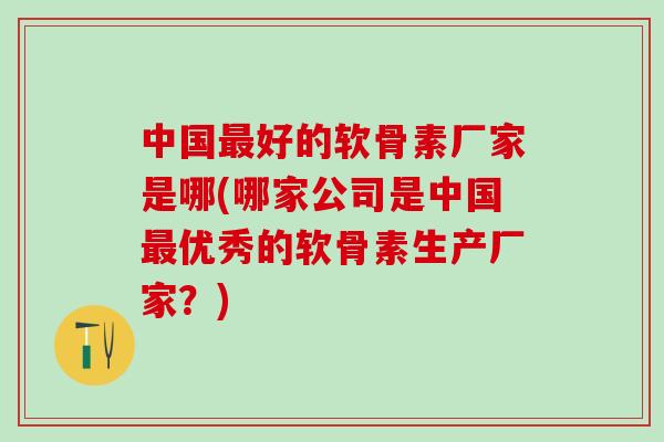 中国最好的软骨素厂家是哪(哪家公司是中国最优秀的软骨素生产厂家？)