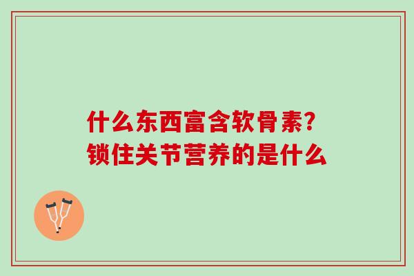 什么东西富含软骨素？锁住关节营养的是什么