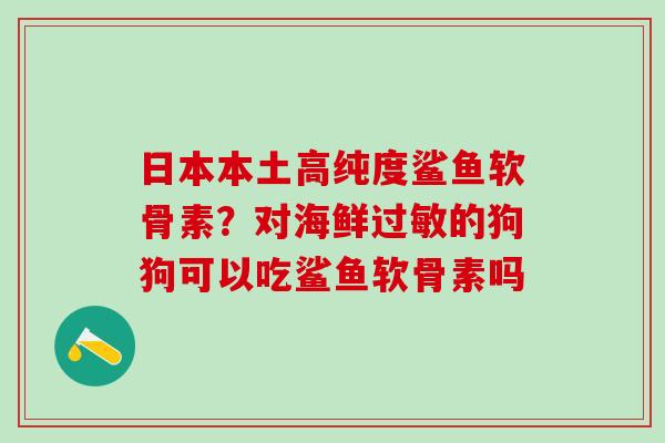 日本本土高纯度鲨鱼软骨素?对海鲜的狗狗可以吃鲨鱼软骨素吗 日本本土高纯度鲨鱼软骨素?对海鲜的狗狗可以吃鲨鱼软骨素吗