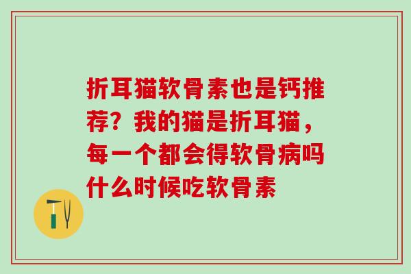 折耳猫软骨素也是钙推荐？我的猫是折耳猫，每一个都会得软骨病吗什么时候吃软骨素
