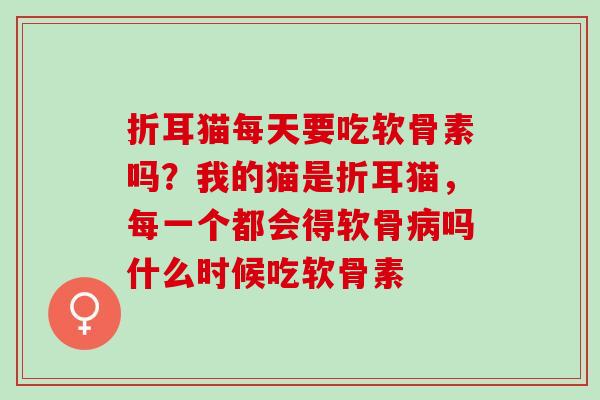 折耳猫每天要吃软骨素吗?我的猫是折耳猫,每一个都会得软骨吗什么时候吃软骨素 折耳猫每天要吃软骨素吗?我的猫是折耳猫,每一个都会得软骨吗什么时候吃软骨素