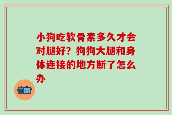 小狗吃软骨素多久才会对腿好？狗狗大腿和身体连接的地方断了怎么办