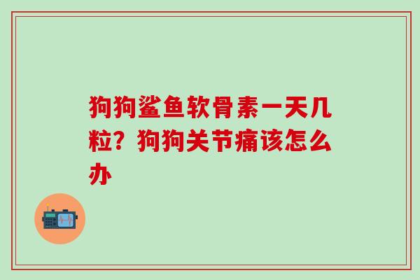 狗狗鲨鱼软骨素一天几粒？狗狗关节痛该怎么办