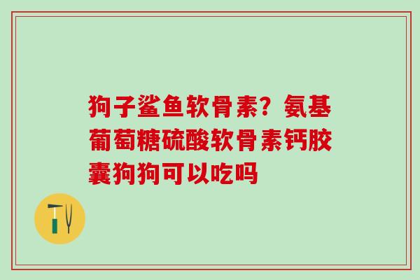 狗子鲨鱼软骨素？氨基葡萄糖硫酸软骨素钙胶囊狗狗可以吃吗