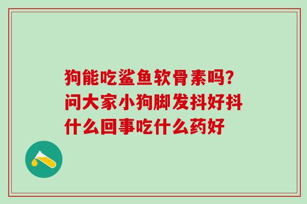 狗能吃鲨鱼软骨素吗？问大家小狗脚发抖好抖什么回事吃什么药好