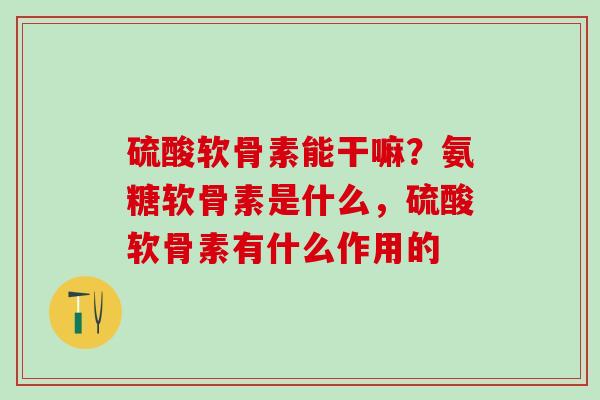 硫酸软骨素能干嘛？氨糖软骨素是什么，硫酸软骨素有什么作用的