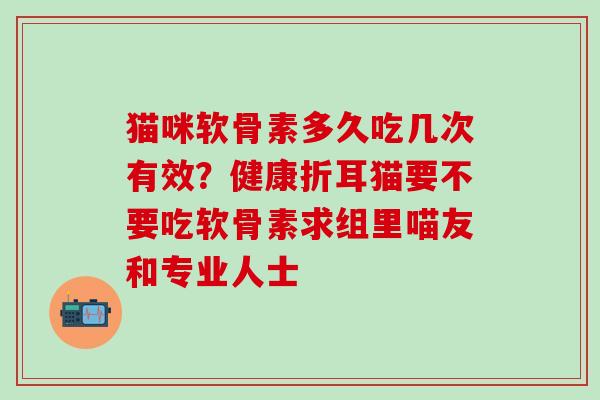 猫咪软骨素多久吃几次有效？健康折耳猫要不要吃软骨素求组里喵友和专业人士