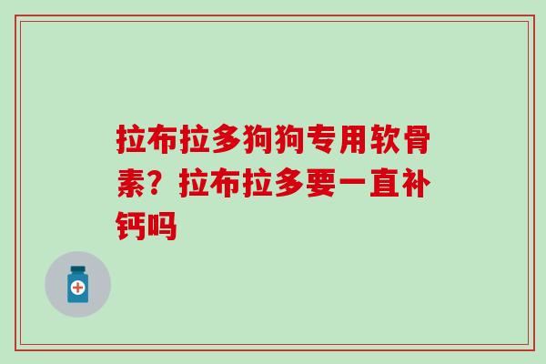 拉布拉多狗狗专用软骨素?拉布拉多要一直补钙吗 拉布拉多狗狗专用软骨素?拉布拉多要一直补钙吗
