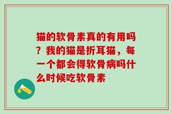 猫的软骨素真的有用吗？我的猫是折耳猫，每一个都会得软骨病吗什么时候吃软骨素