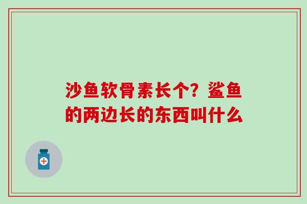 沙鱼软骨素长个？鲨鱼的两边长的东西叫什么