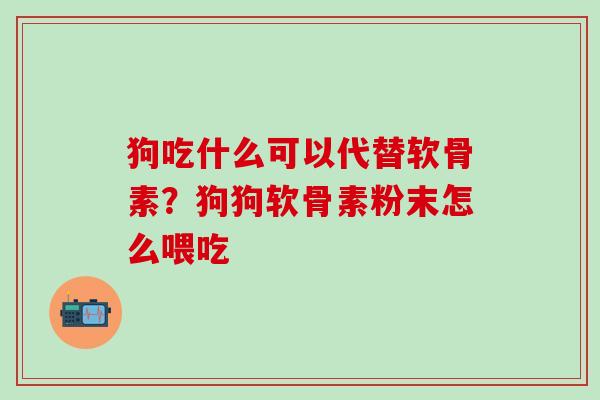 狗吃什么可以代替软骨素？狗狗软骨素粉末怎么喂吃