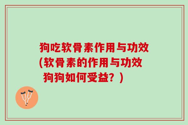 狗吃软骨素作用与功效(软骨素的作用与功效 狗狗如何受益？)