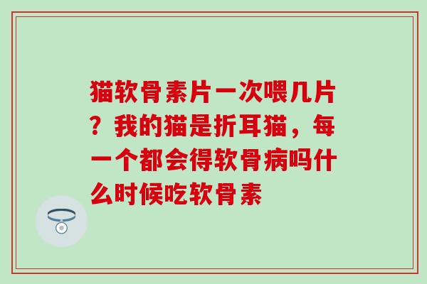 猫软骨素片一次喂几片？我的猫是折耳猫，每一个都会得软骨吗什么时候吃软骨素