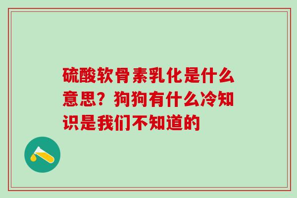 硫酸软骨素乳化是什么意思？狗狗有什么冷知识是我们不知道的