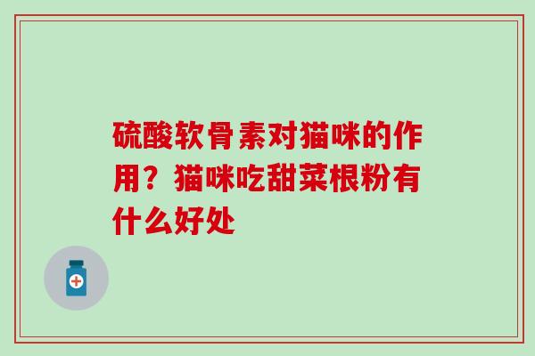 硫酸软骨素对猫咪的作用？猫咪吃甜菜根粉有什么好处