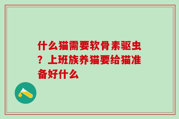 什么猫需要软骨素驱虫？上班族养猫要给猫准备好什么