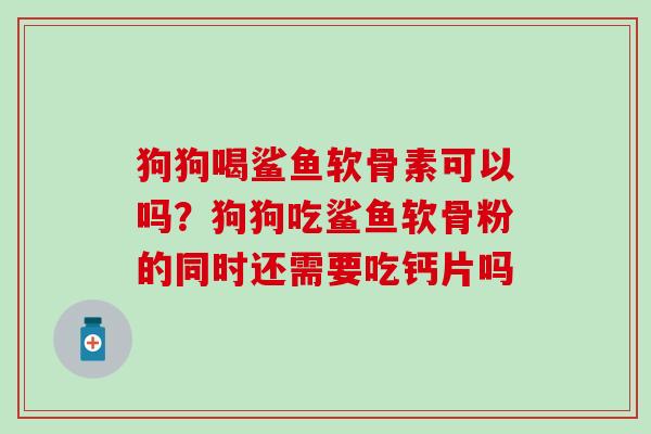 狗狗喝鲨鱼软骨素可以吗？狗狗吃鲨鱼软骨粉的同时还需要吃钙片吗