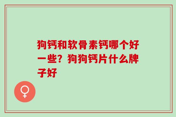 狗钙和软骨素钙哪个好一些？狗狗钙片什么牌子好