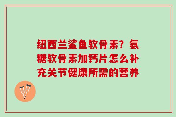 纽西兰鲨鱼软骨素？氨糖软骨素加钙片怎么补充关节健康所需的营养