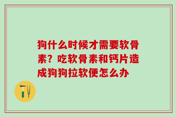 狗什么时候才需要软骨素？吃软骨素和钙片造成狗狗拉软便怎么办