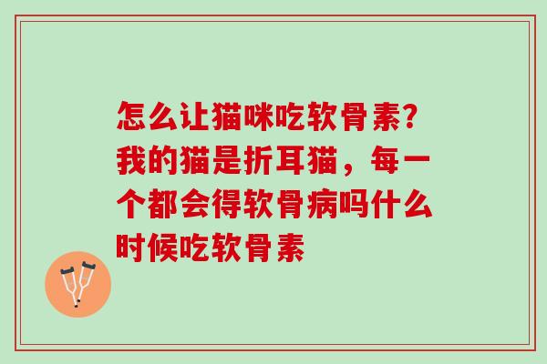 怎么让猫咪吃软骨素？我的猫是折耳猫，每一个都会得软骨病吗什么时候吃软骨素