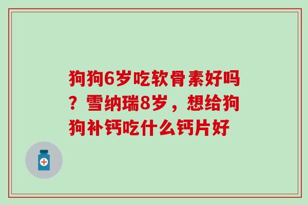 狗狗6岁吃软骨素好吗?雪纳瑞8岁,想给狗狗补钙吃什么钙片好 狗狗6岁吃软骨素好吗?雪纳瑞8岁,想给狗狗补钙吃什么钙片好