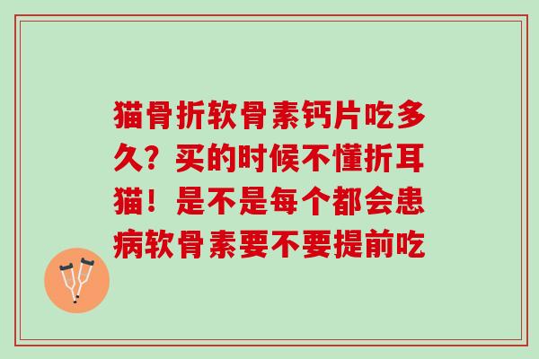 猫骨折软骨素钙片吃多久？买的时候不懂折耳猫！是不是每个都会患病软骨素要不要提前吃