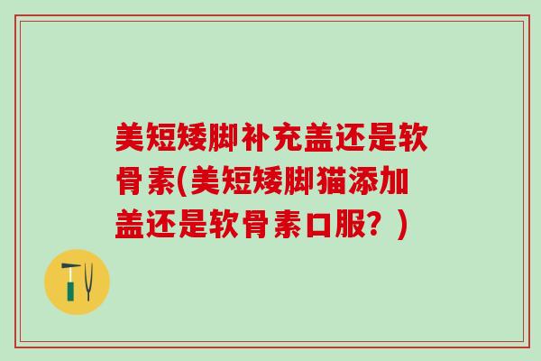 美短矮脚补充盖还是软骨素(美短矮脚猫添加盖还是软骨素口服？)